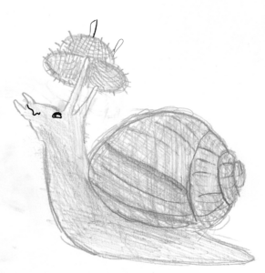 Snail w sketch